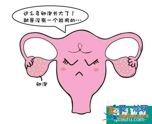 試管嬰兒優勢卵泡一般有幾個? 試管嬰兒優勢卵泡一般有幾個?