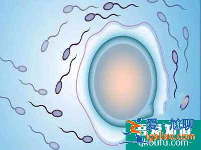 試管前期檢查項目明細？