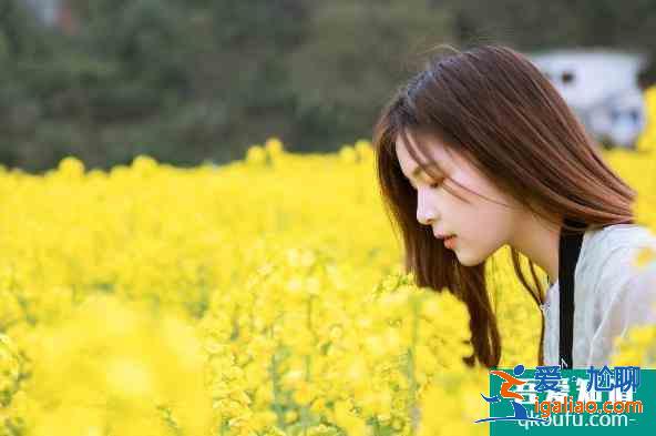 油菜花拍照姿勢圖片大全 油菜花拍照技巧？