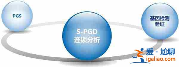 選擇性別的助孕方式【專業公司】？