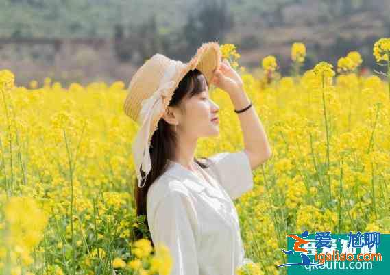 油菜花拍照姿勢圖片大全 油菜花拍照技巧？