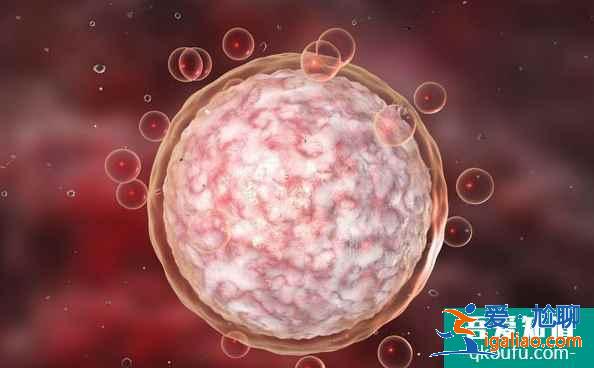 卵泡沒卵子并不可怕,三個步驟解決空卵泡的問題? 卵泡沒卵子并不可怕,三個步驟解決空卵泡的問題?