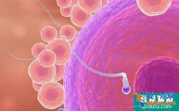 卵泡沒卵子并不可怕,三個步驟解決空卵泡的問題? 卵泡沒卵子并不可怕,三個步驟解決空卵泡的問題?