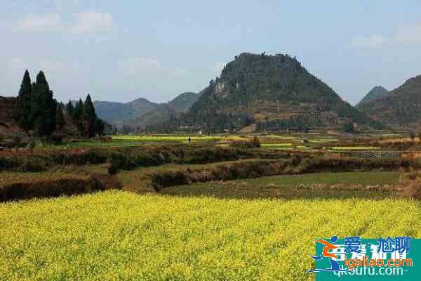 2021長沙油菜花欣賞有哪些地方 長沙油菜花景點推薦？