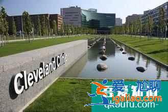 美國首例子宮移植術讓女性重獲生育力？