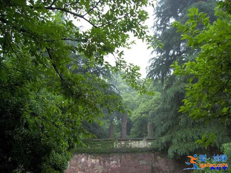 西湖孤山在哪,西湖孤山怎么上去,西湖孤山具體位置? 西湖孤山在哪,西湖孤山怎么上去,西湖孤山具體位置?
