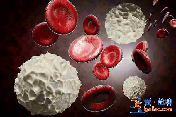 了解包生男孩成功率[ 院長首薦 ]？