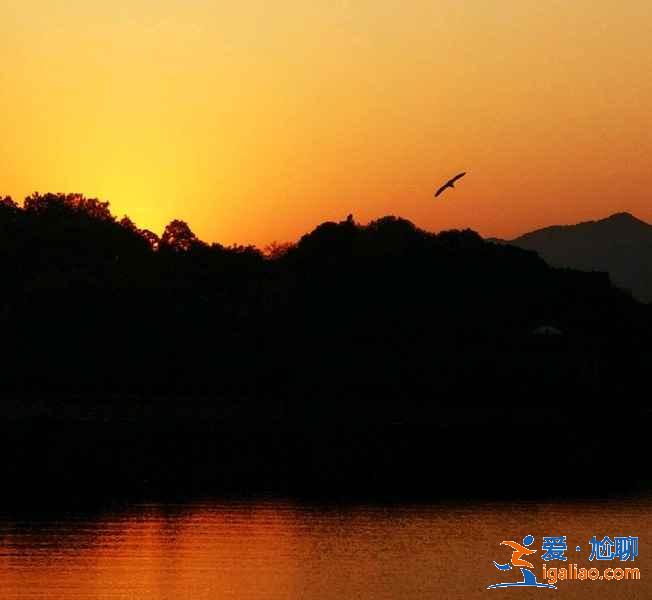 西湖孤山在哪,西湖孤山怎么上去,西湖孤山具體位置? 西湖孤山在哪,西湖孤山怎么上去,西湖孤山具體位置?