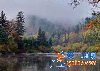 中國最大的森林城市，來這里洗洗肺吧！？