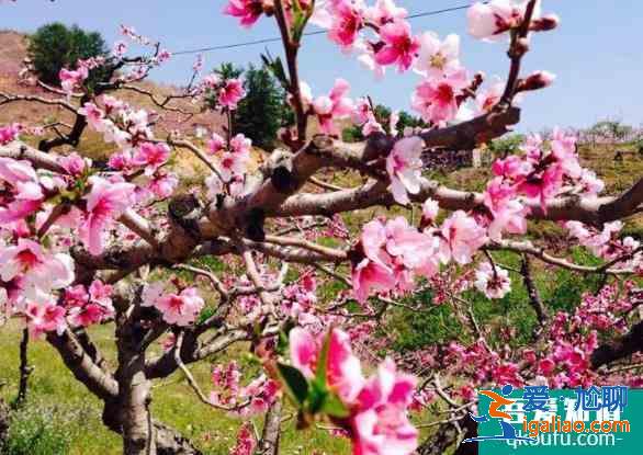 丹東旅游景點(diǎn)哪里好玩 丹東旅游景點(diǎn)必去的地方？