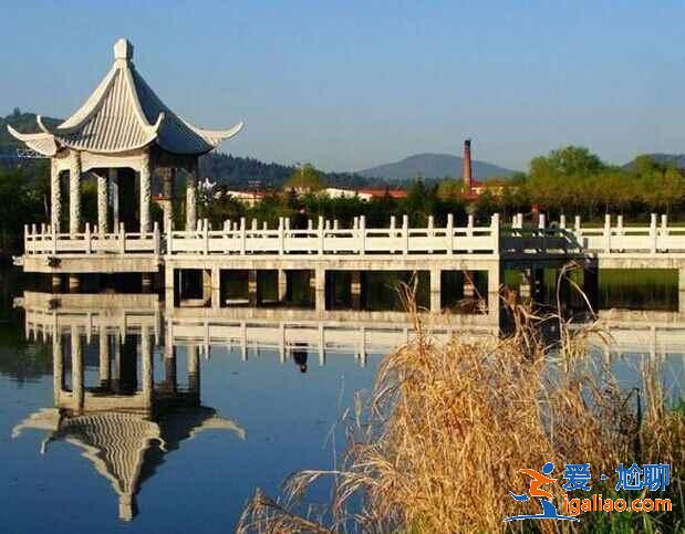 中國最大的森林城市，來這里洗洗肺吧！？