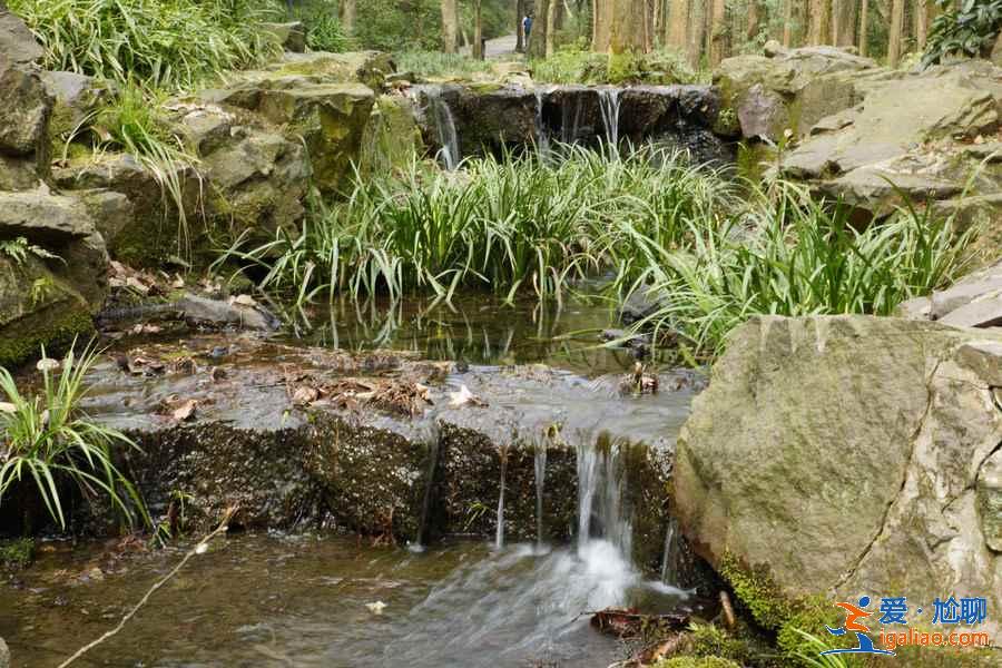 虎跑夢泉好在哪,虎跑夢泉為什么有名,虎跑夢泉不一樣的地方? 虎跑夢泉好在哪,虎跑夢泉為什么有名,虎跑夢泉不一樣的地方?