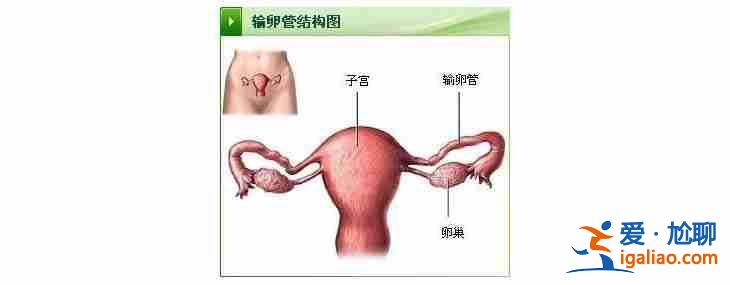 哈爾濱代生男孩哪家好「包成功包出生」？