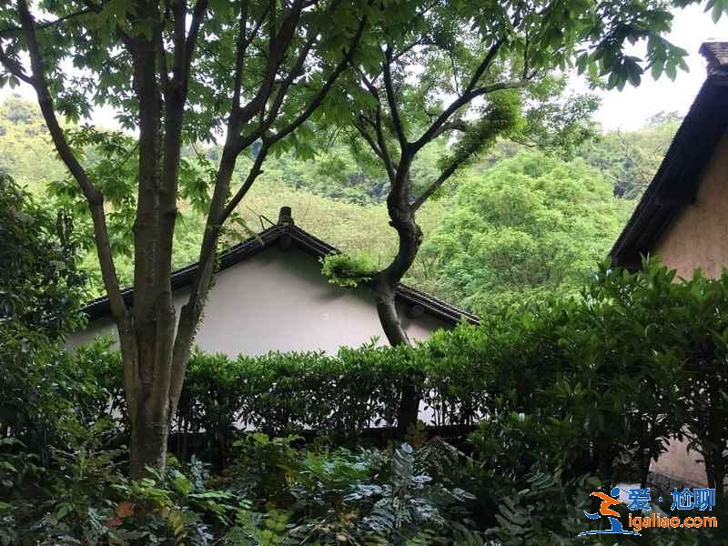 從靈隱寺到天竺三寺怎么走?需要多長時(shí)間? 從靈隱寺到天竺三寺怎么走?需要多長時(shí)間?