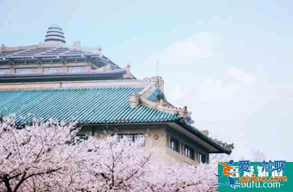 三四月國內賞花踏青地址推薦？