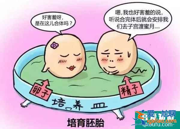 試管嬰兒的原理是什么？？