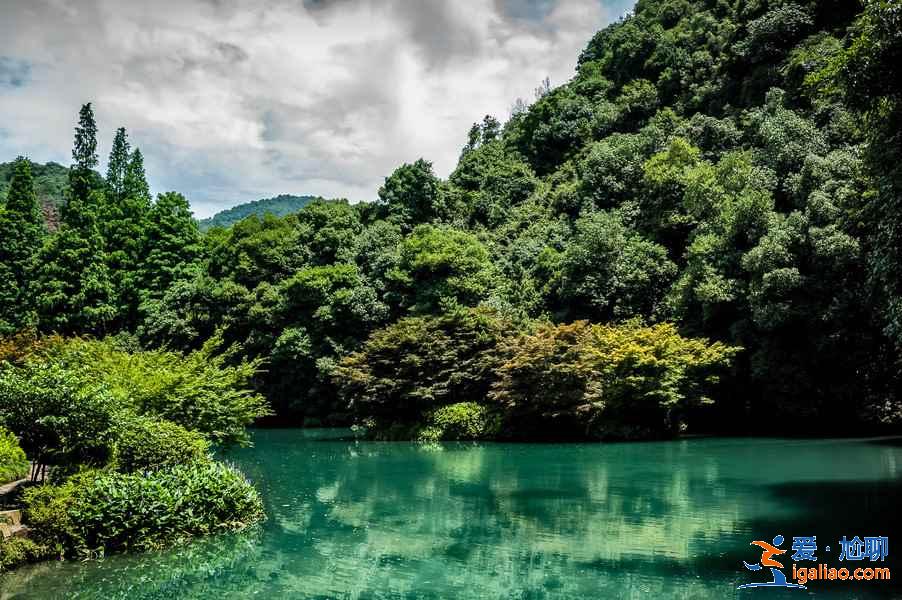 九溪煙樹要門票嗎？九溪煙樹門票多少錢？九溪煙樹門票價格是多少？？