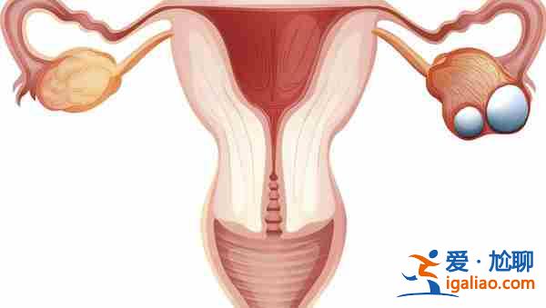 代媽需要選血型嗎,爸爸給我講故事? 代媽需要選血型嗎,爸爸給我講故事?