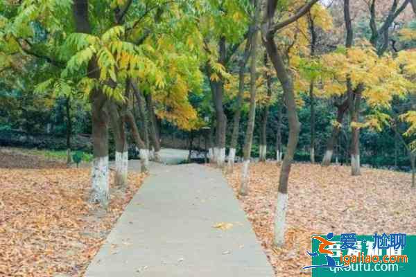 2021成都植物園門票 成都植物園一日游攻略？