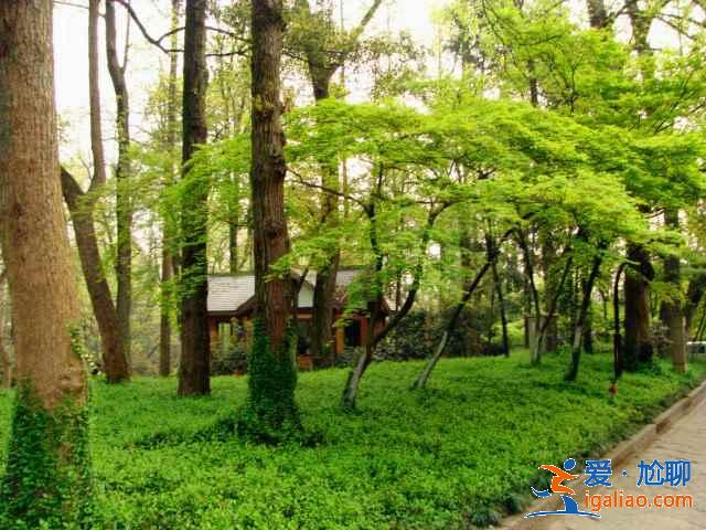 太子灣公園要不要門票?太子灣公園是免費的嗎?? 太子灣公園要不要門票?太子灣公園是免費的嗎??