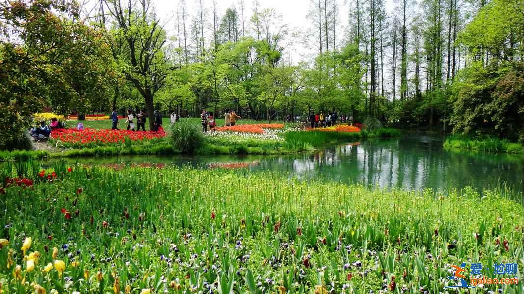 太子灣公園要不要門票?太子灣公園是免費的嗎?? 太子灣公園要不要門票?太子灣公園是免費的嗎??