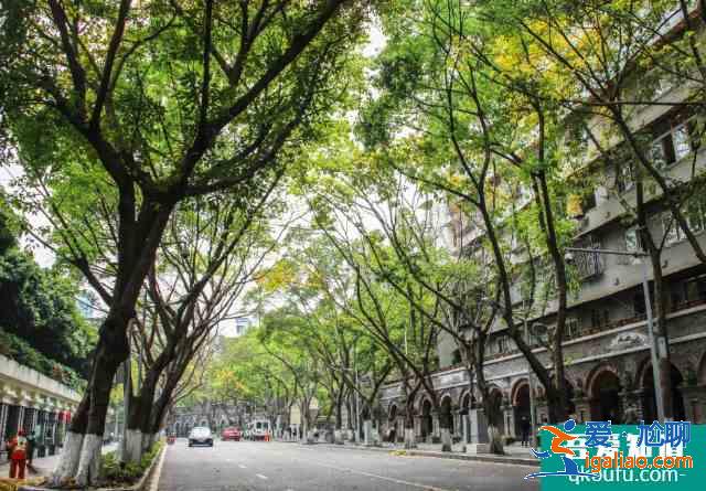 重慶有什么好玩的地方景點介紹 重慶二日游最佳路線圖？