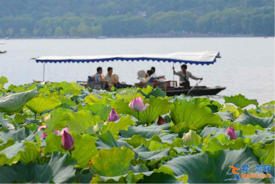 西湖環(huán)湖游有哪些方式,西湖環(huán)湖游攻略,怎樣環(huán)游西湖? 西湖環(huán)湖游有哪些方式,西湖環(huán)湖游攻略,怎樣環(huán)游西湖?