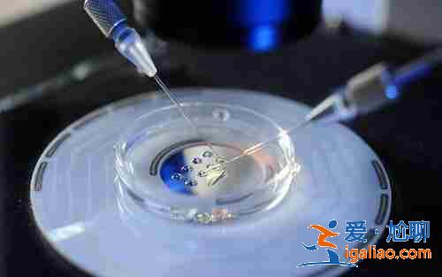 介紹一下福州代生男寶寶? 介紹一下福州代生男寶寶?