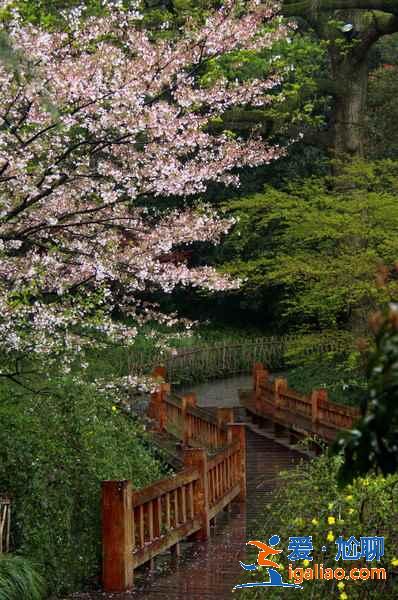 太子灣公園幾月份去好?太子灣公園最佳旅游時間是什么時候?? 太子灣公園幾月份去好?太子灣公園最佳旅游時間是什么時候??