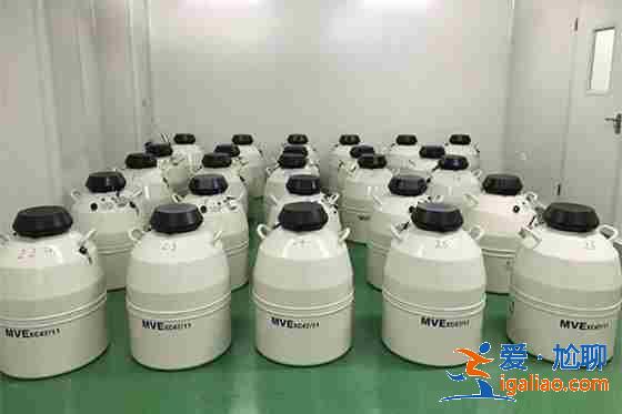 了解長春助孕網[ 高質服務 ]？