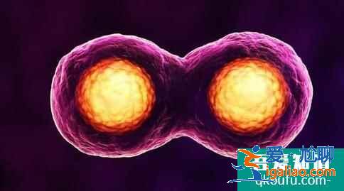 去做試管遇到排卵期出血怎么辦? 去做試管遇到排卵期出血怎么辦?