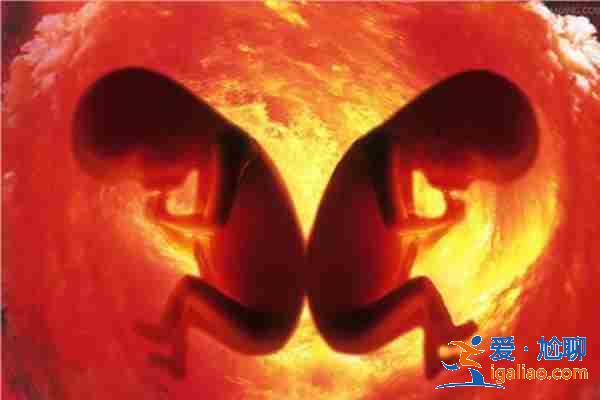 看一下重慶最大的助孕公司「愛心助孕」？