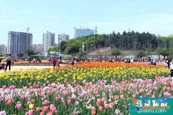2021湖南植物園櫻花什么時候開 湖南植物園適合幾月份去？