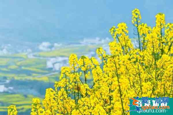 徽州哪些地方好玩 徽州春季適合去哪里？