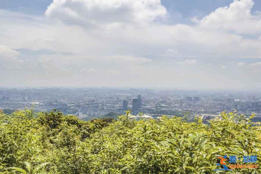 羊城八景在什么地方，怎么去羊城八景？