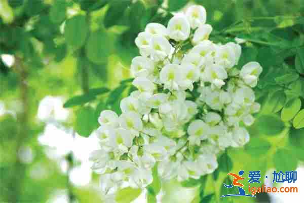 看一下昆明有代生孩子「可選男女」? 看一下昆明有代生孩子「可選男女」?