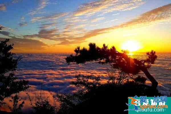 天岳幕阜山景區門票價格一覽 附交通指南? 天岳幕阜山景區門票價格一覽 附交通指南?