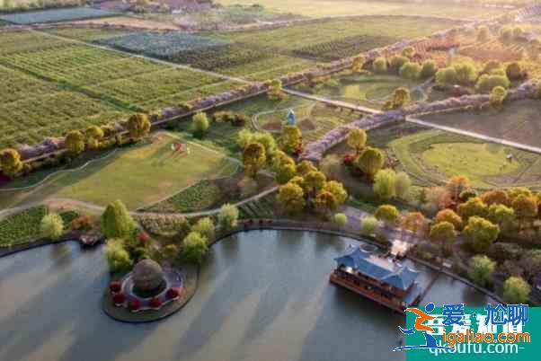 上海紫藤園綜合體什么時候開放 中國最大紫藤主題園？