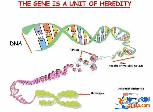女性人工助孕方法-國內最高端的助孕公司? 女性人工助孕方法-國內最高端的助孕公司?