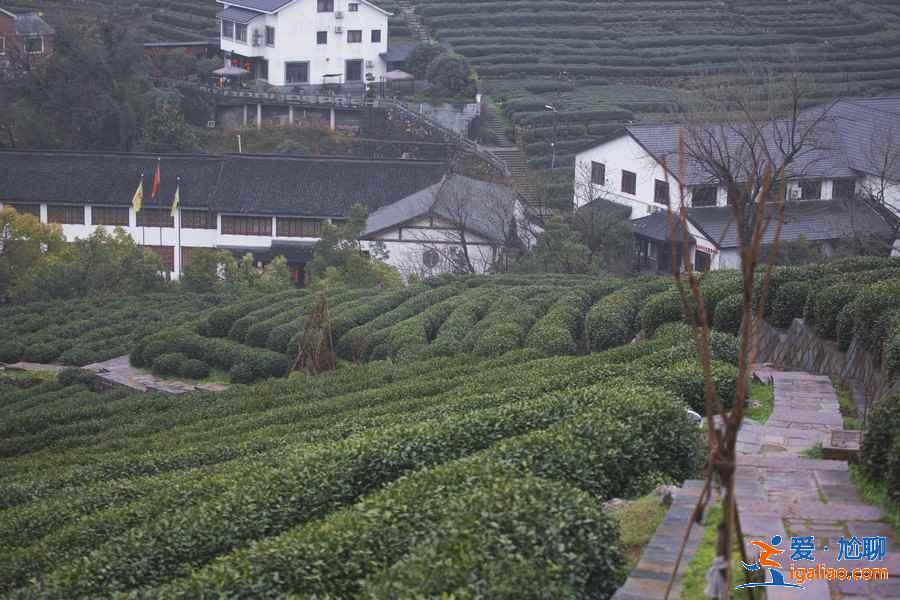 什么時候去龍井村好,龍井村最佳旅游時間? 什么時候去龍井村好,龍井村最佳旅游時間?