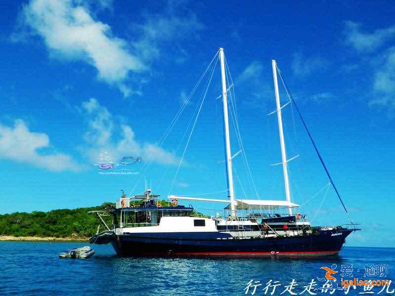 昆士蘭有哪些景點,昆士蘭哪里好玩,昆士蘭旅游攻略? 昆士蘭有哪些景點,昆士蘭哪里好玩,昆士蘭旅游攻略?