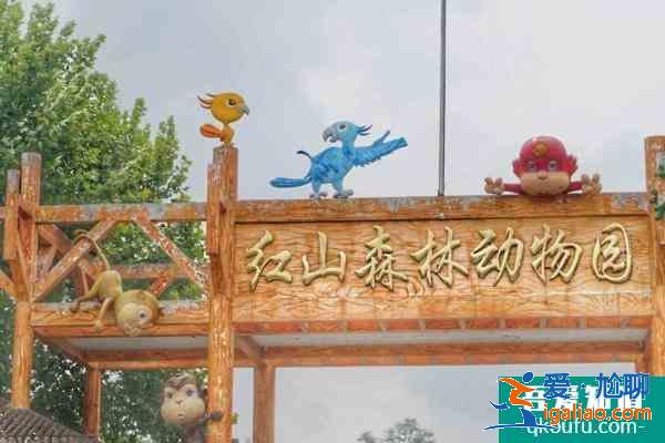 2021紅山森林動物園營業時間 紅山森林動物園門票多少？