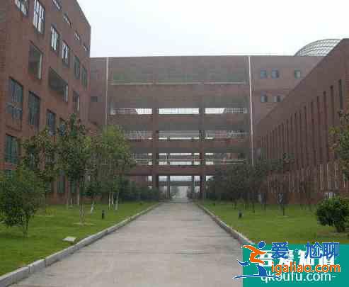 女生學什么專業就業前景好? 女生學什么專業就業前景好?