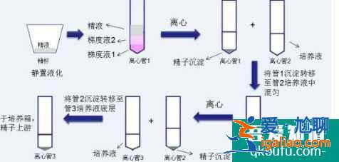 泰國試管嬰兒洗精技術艾滋病患者的福音？