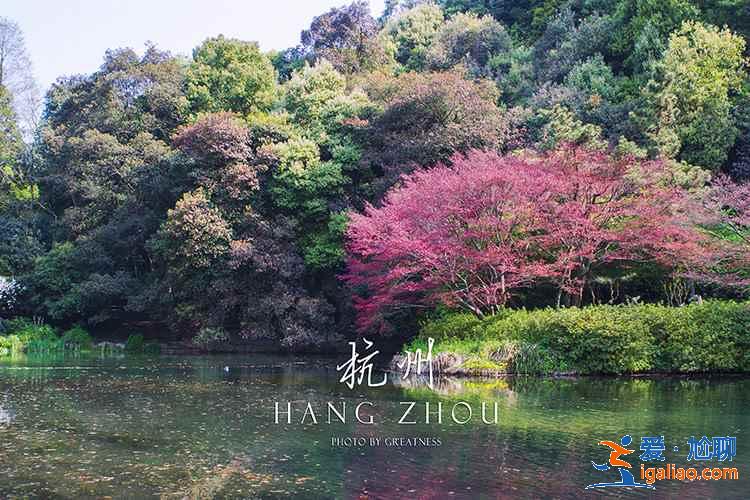 西湖新十景有哪些,西湖新十景好玩嗎,西湖新十景旅游攻略? 西湖新十景有哪些,西湖新十景好玩嗎,西湖新十景旅游攻略?