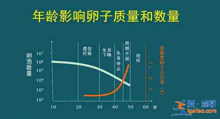 國內(nèi)包生男孩價格表,要花多少錢？？