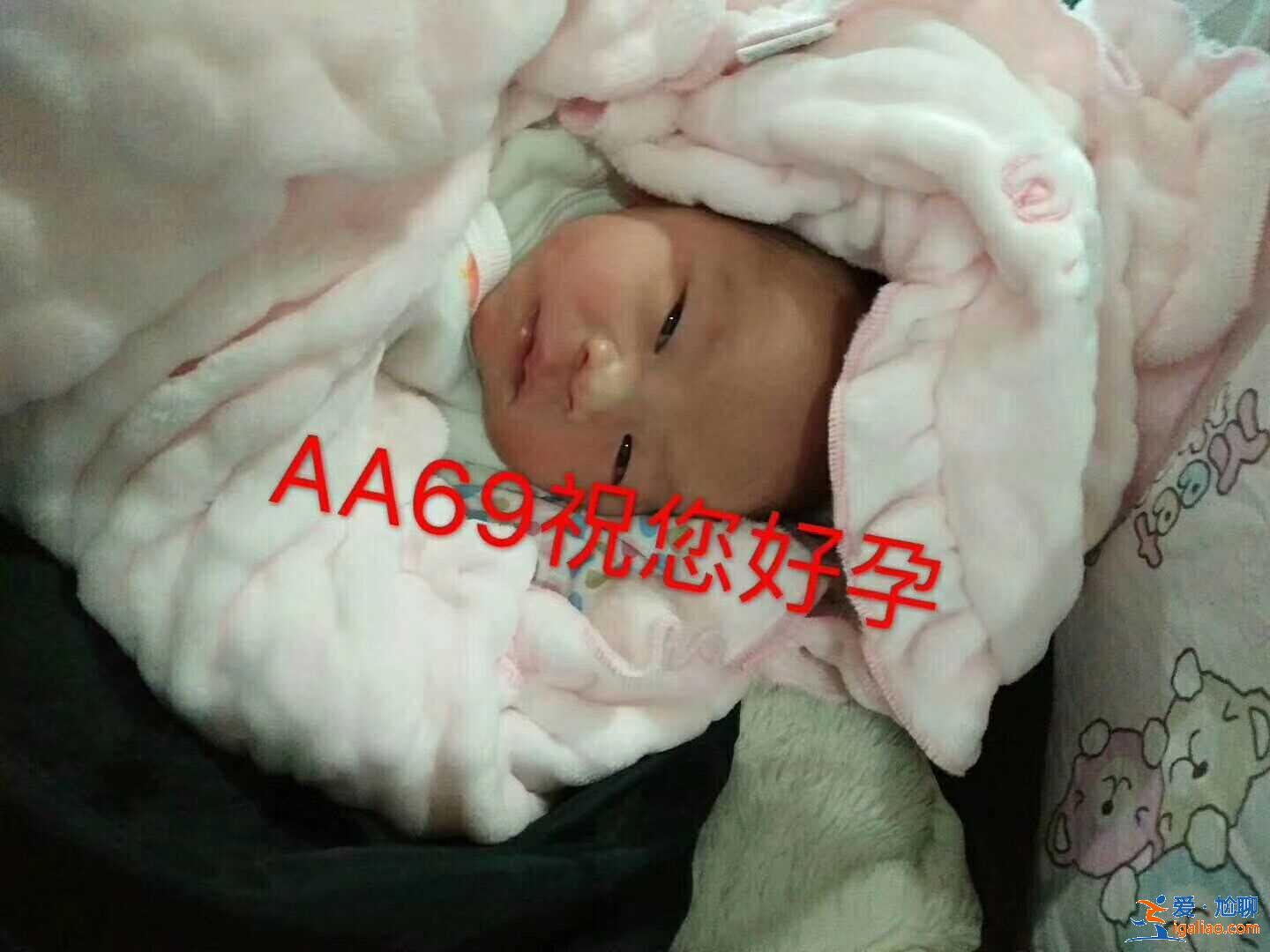 同性試管可以在那里做？