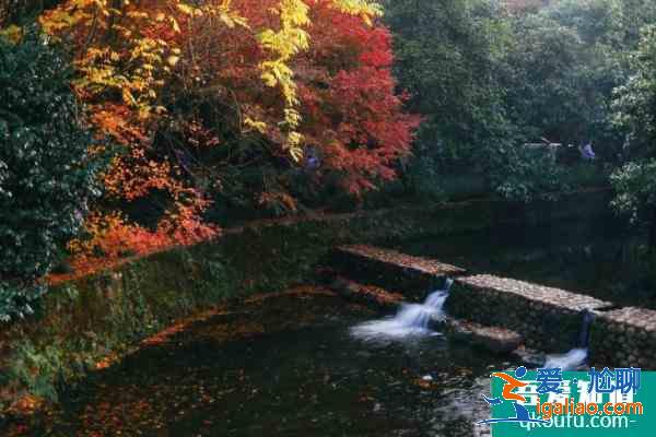 2021九溪十八澗游玩攻略 九溪十八澗最佳路線？