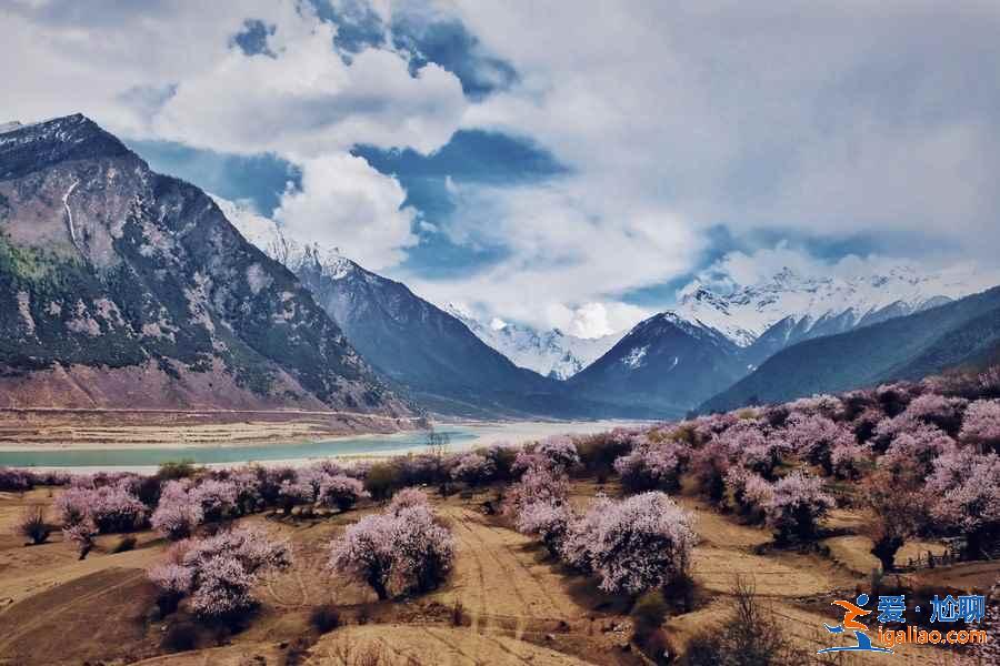 【林芝旅游】林芝12個月景色看點？