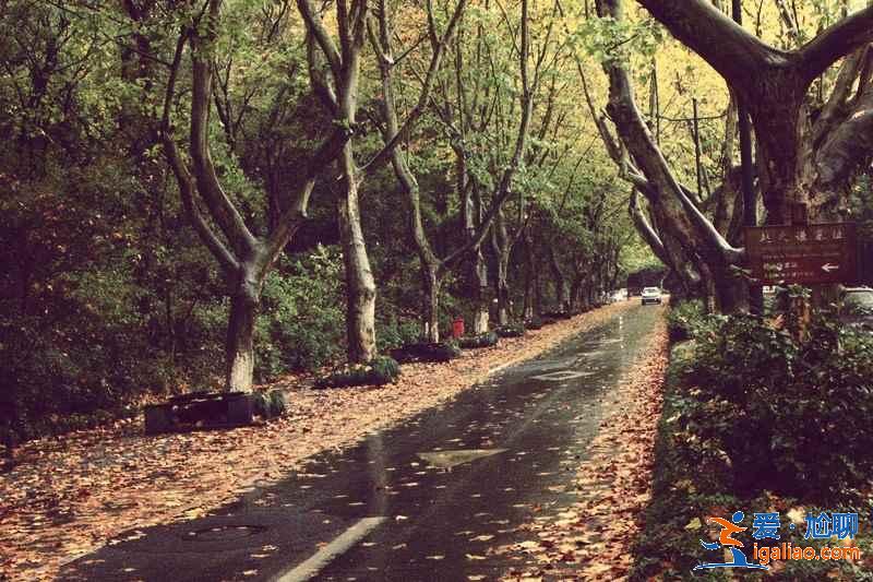 茅家埠有哪些景點?茅家埠有什么好玩的? 茅家埠有哪些景點?茅家埠有什么好玩的?